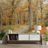 Road in autumn woods wall mural

