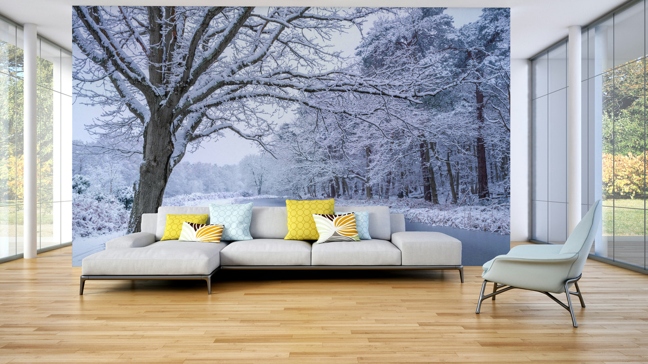 Snow-covered tree beside frozen river mural