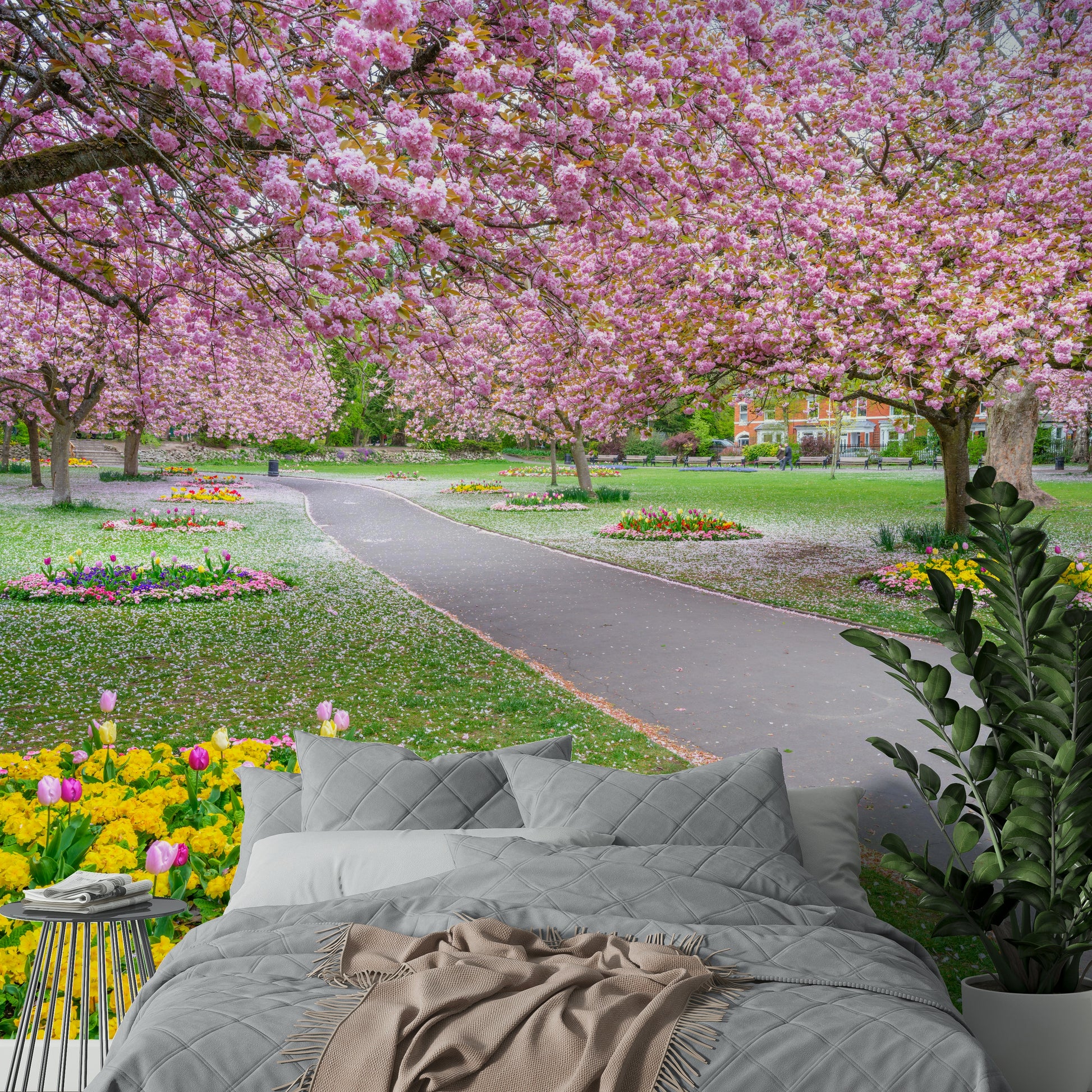 Cherry blossom wallpaper with walking trail view

