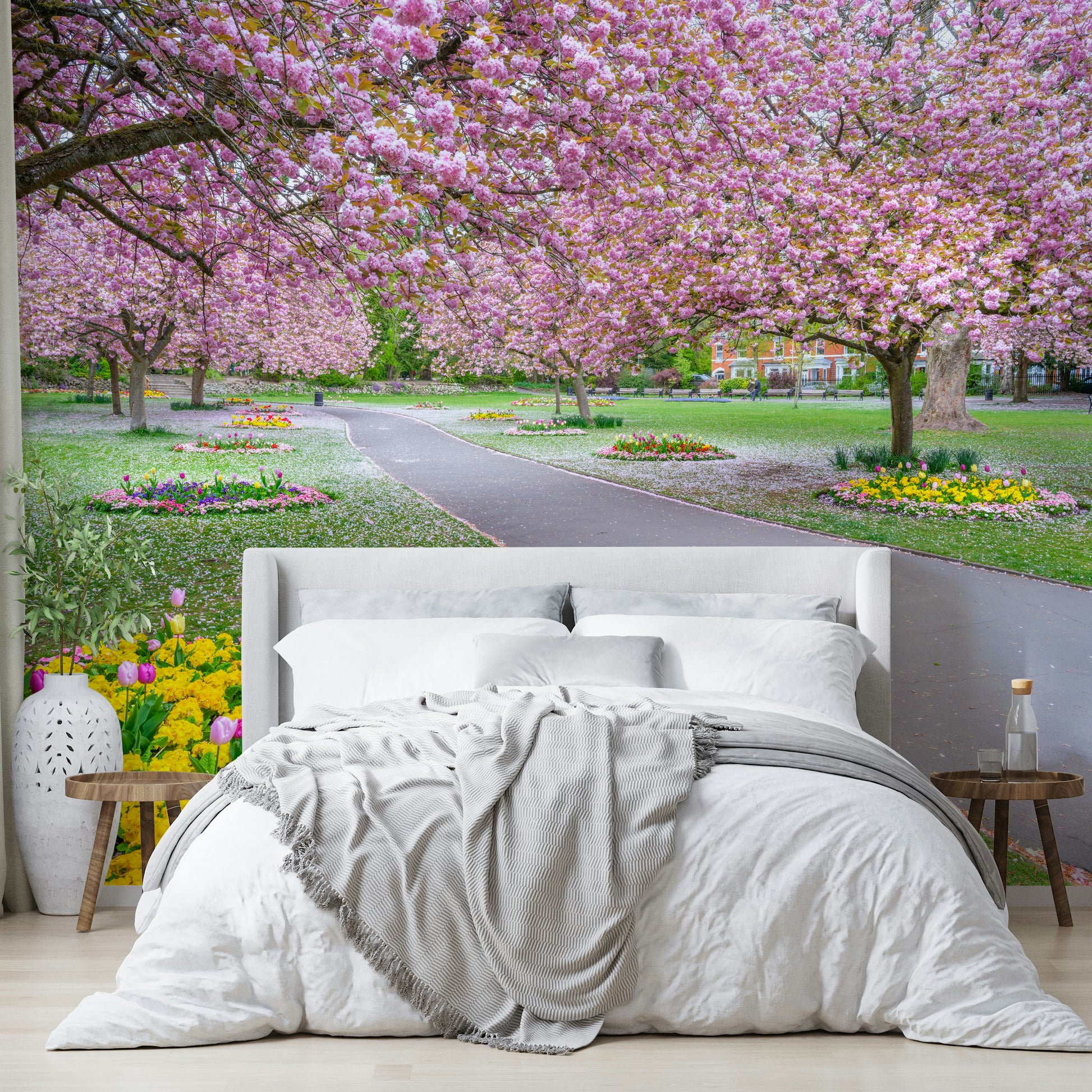 Pink blossom trees arching over park path


