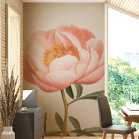 Coral-colored peonies creating a warm and inviting space

