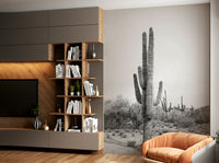 Minimalist desert design for modern and industrial spaces

