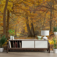 Gentle light filtering through trees adds depth and character

