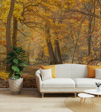 Vibrant autumn colors bring warmth and tranquility indoors

