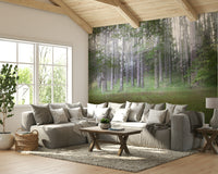 Perfect wall mural for living rooms, bedrooms, and offices


