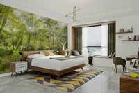 Features a forest landscape with lush greenery, perfectly reflected in calm, still water.
