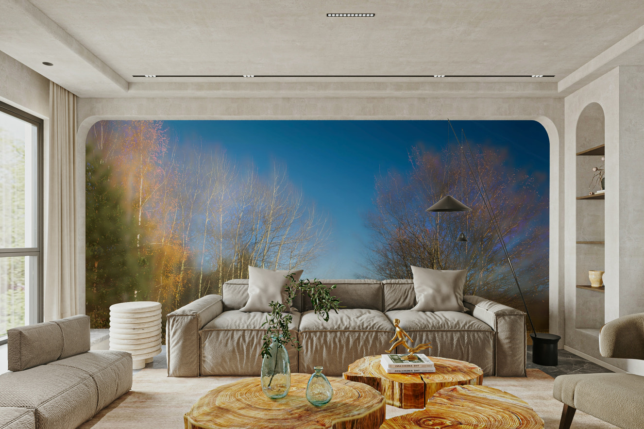 Autumn Landscape Photography - Serene Trees Under Blue Sky - Nature Wall Art Wall Mural