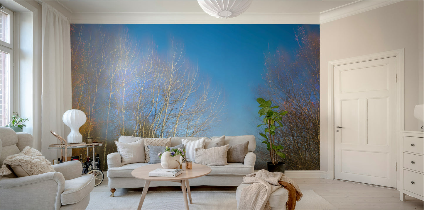 Autumn Landscape Photography - Serene Trees Under Blue Sky - Nature Wall Art Wall Mural