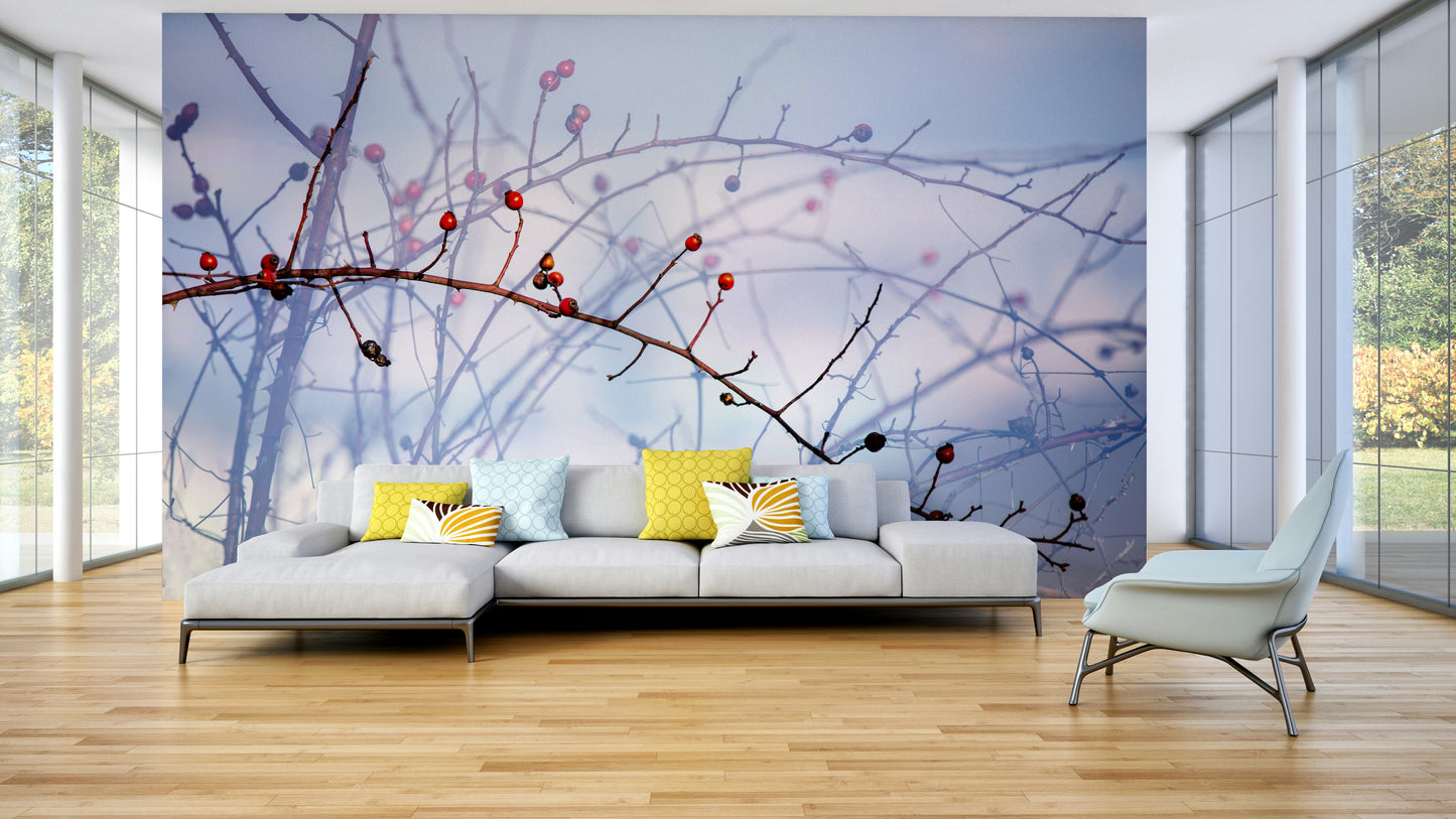 Winter Berries on Twigs - Nature Photography Print Wall Mural