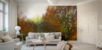 A large-scale art print of a fall landscape.

