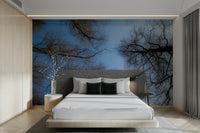 The room feels calm and spacious due to the open sky.

