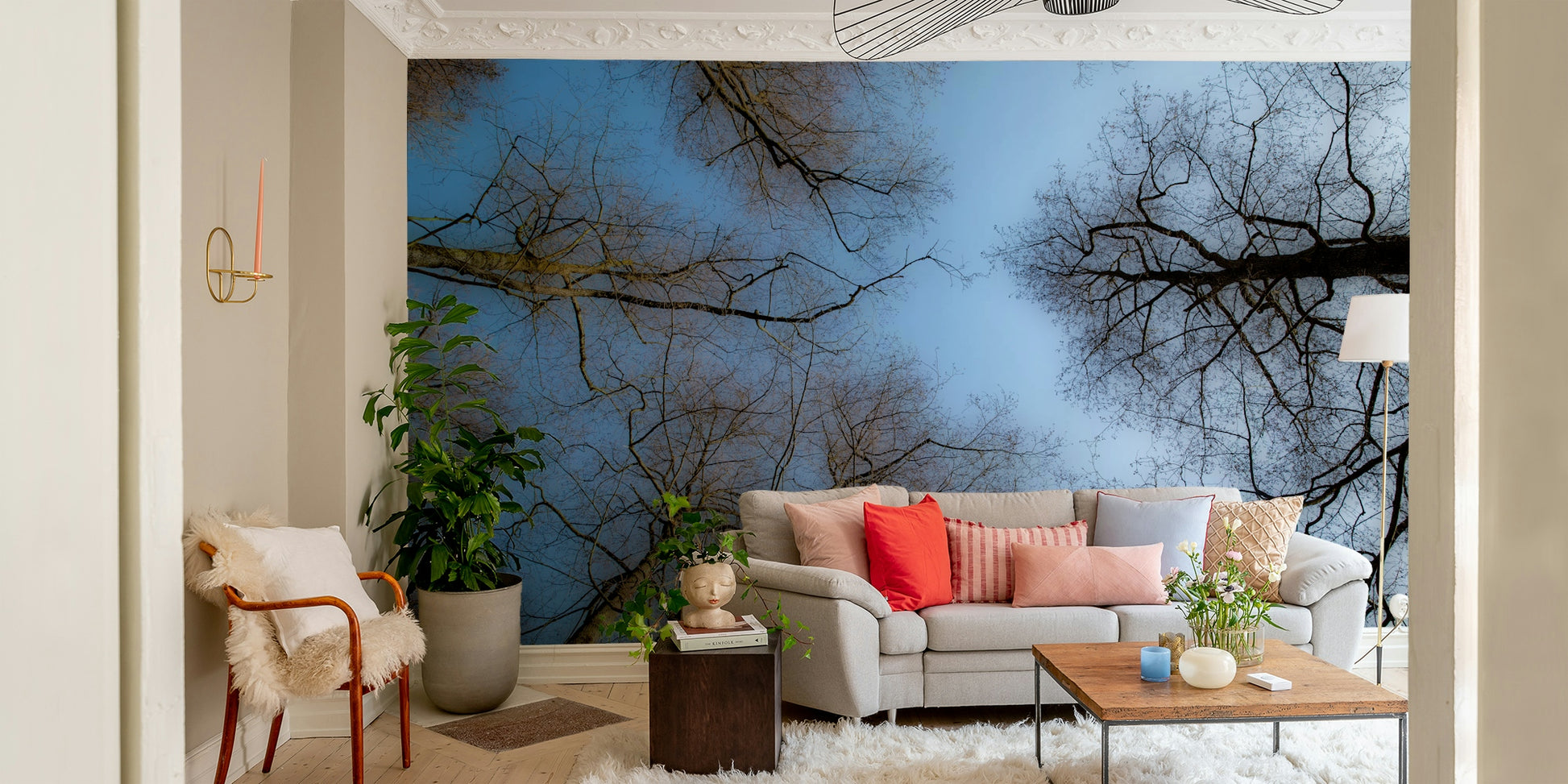 A photo-realistic wall mural of a tranquil canopy of bare trees.


