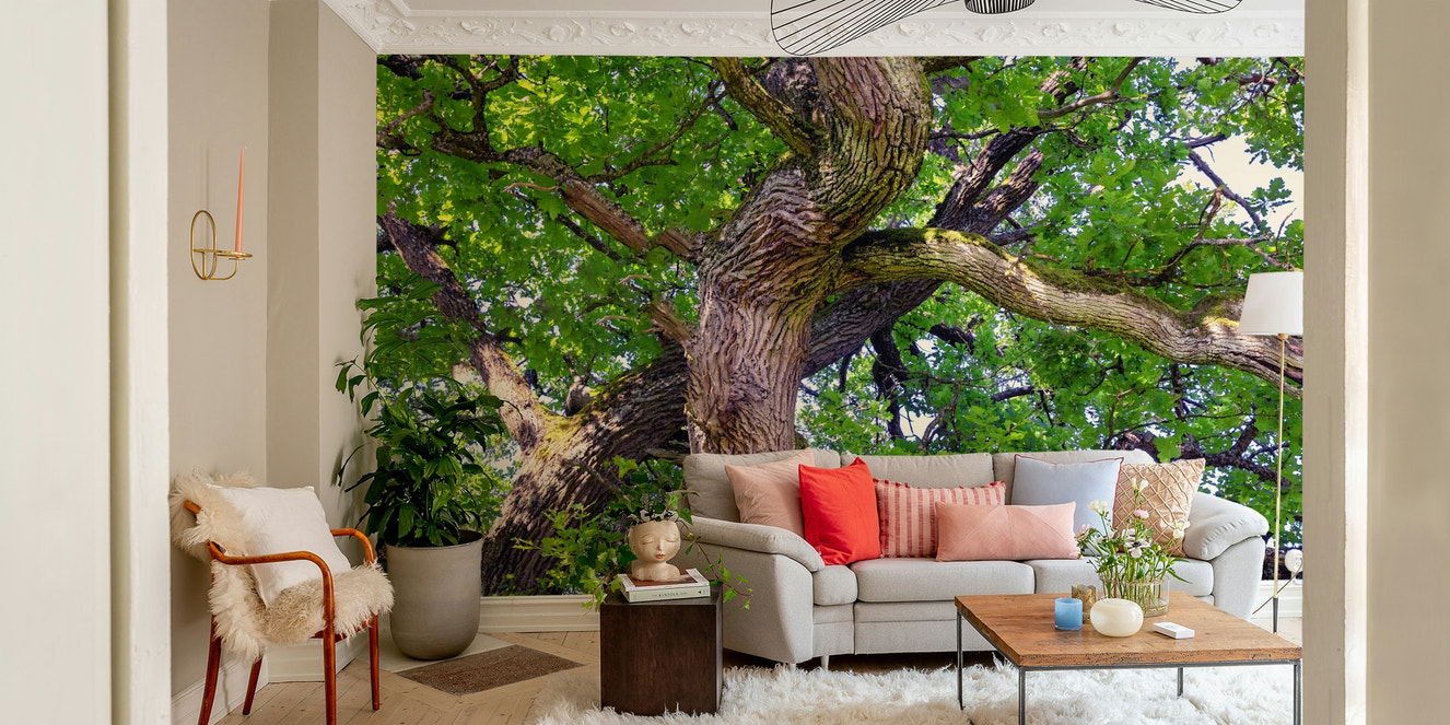 A photo-realistic wall mural of a majestic oak tree canopy.

