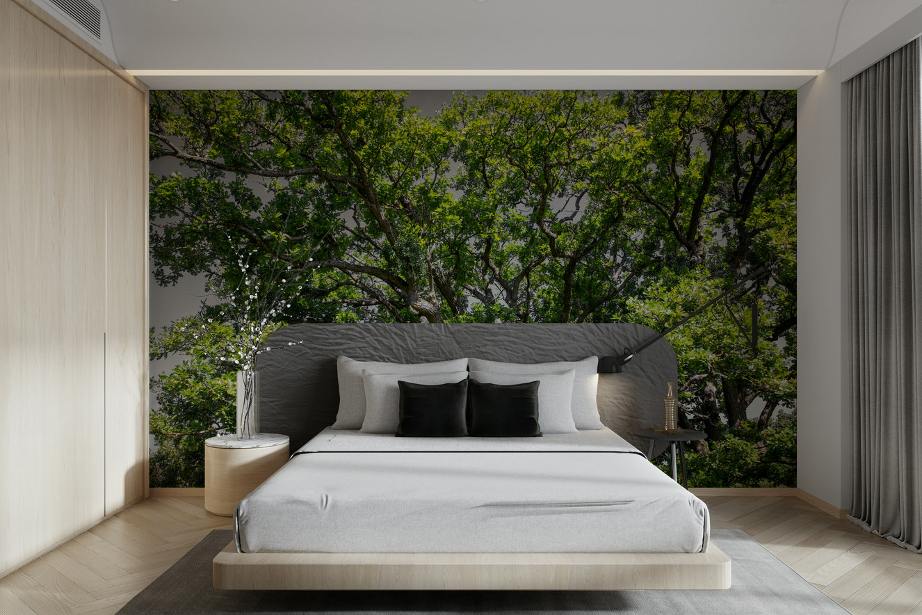 A photo-realistic wall mural of a majestic oak tree canopy.