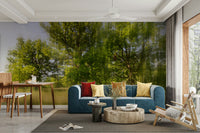 Soft light filters through the tree canopy, creating a peaceful glow.

