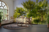 The room feels calm and relaxing due to the natural scene.

