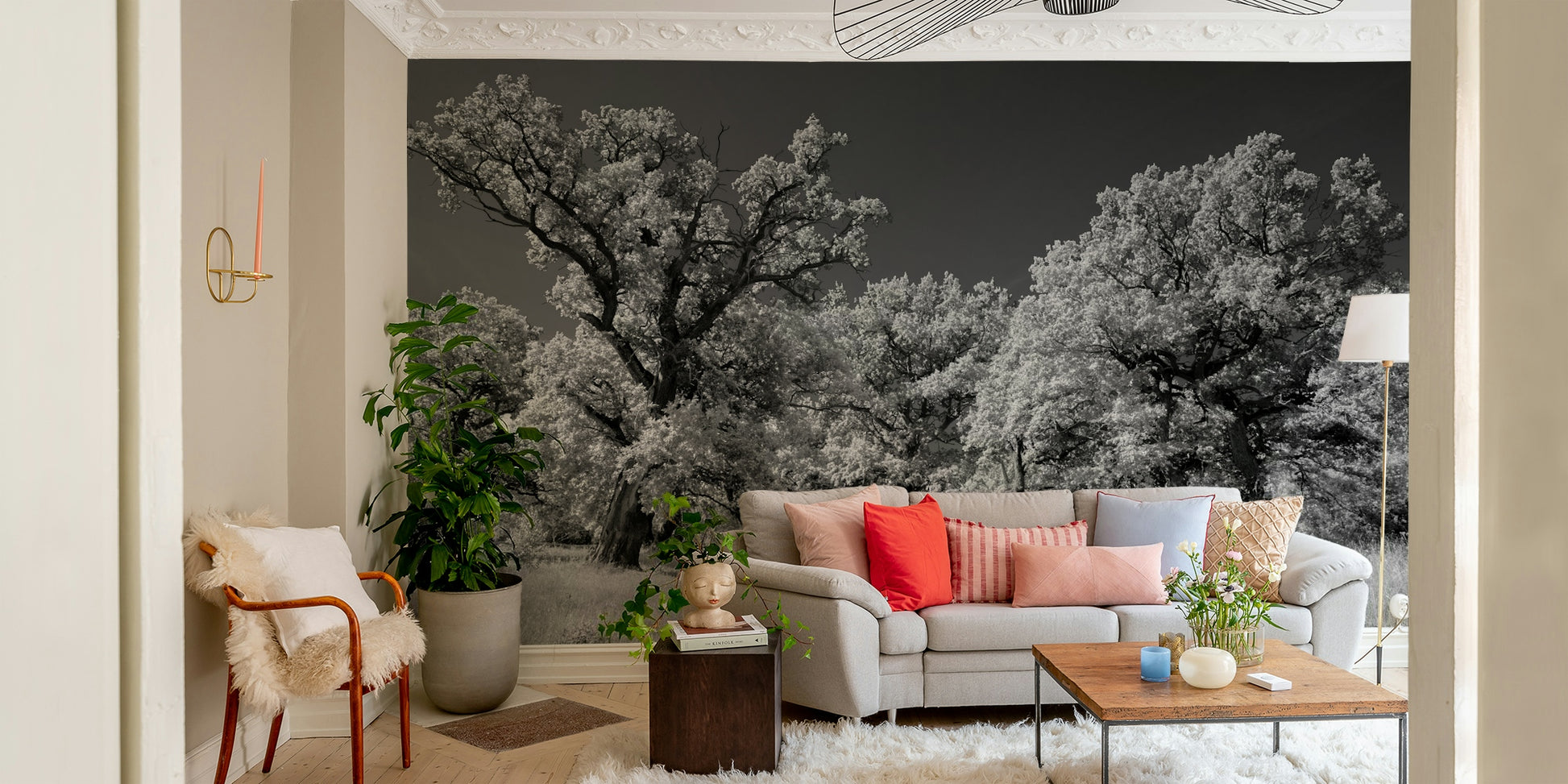 A photo-realistic wall mural of majestic trees in a black and white landscape.

