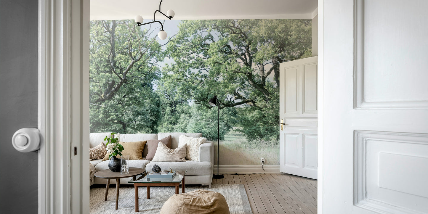 The image shows a wide, open field with lush green trees in the background.

