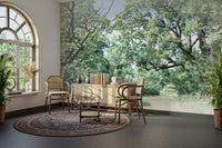 The scene has a peaceful and serene feel, like a quiet day in the country.

