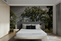 A photo-realistic wall mural of a serene oak grove.

