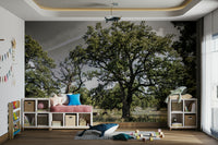 The wallpaper is applied seamlessly, making the view feel realistic.

