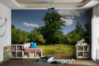 The wall mural is installed on a living room feature wall.

