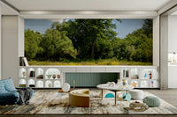 The colors are rich shades of green and earthy browns, contrasting with the blue sky.

