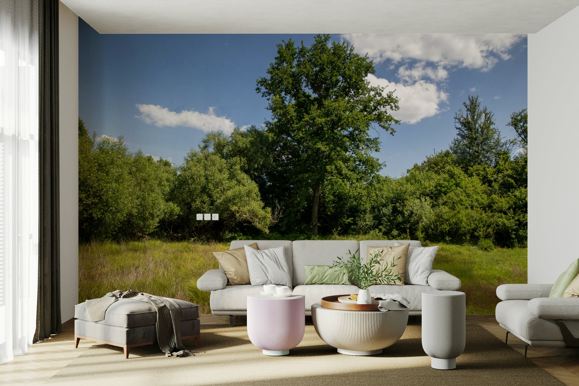 A close-up view of the detailed foliage of the trees.

