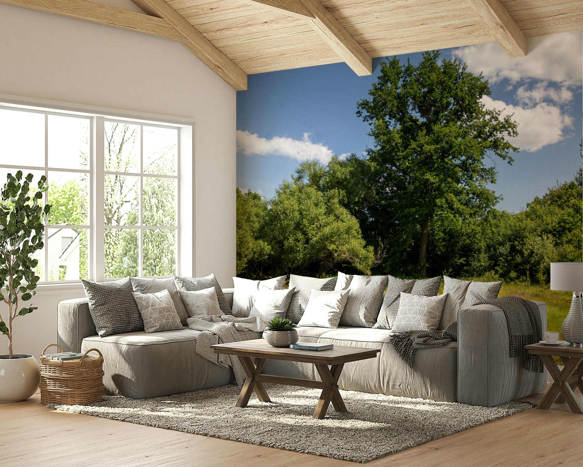 The image shows a wide, open field with large trees.

