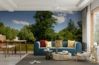 A large-scale nature photography print.

