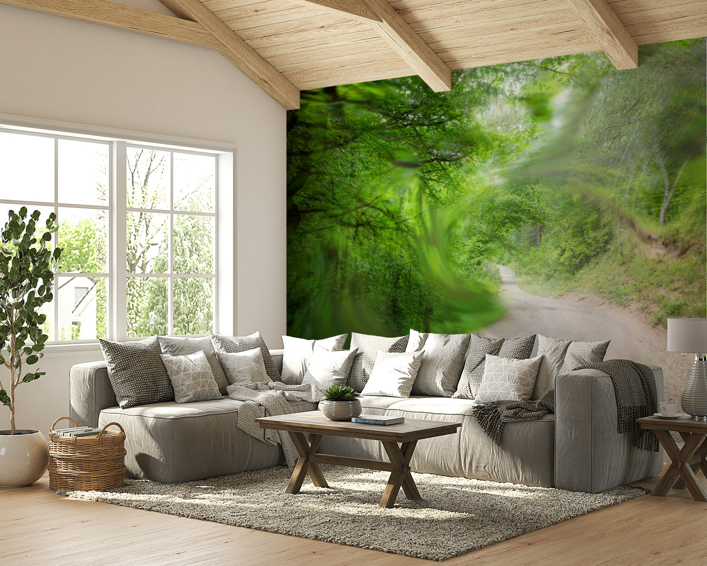 The view is from the beginning of a peaceful road.

