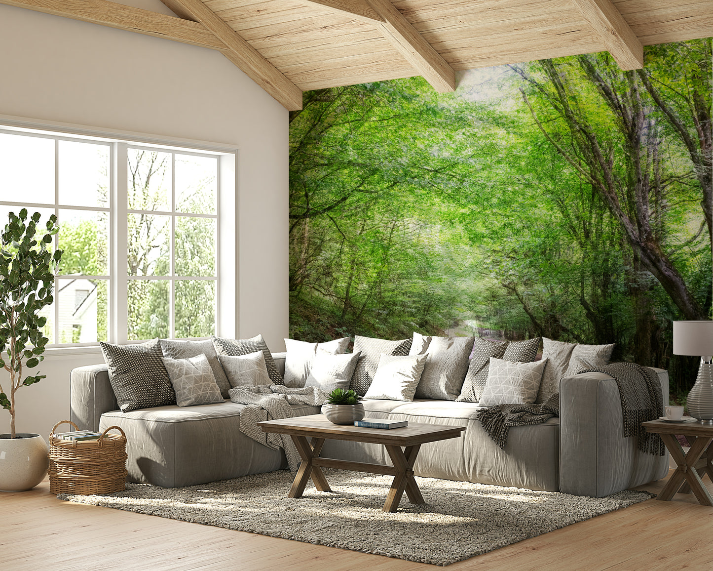 Sunlight filters through the trees onto the path.

