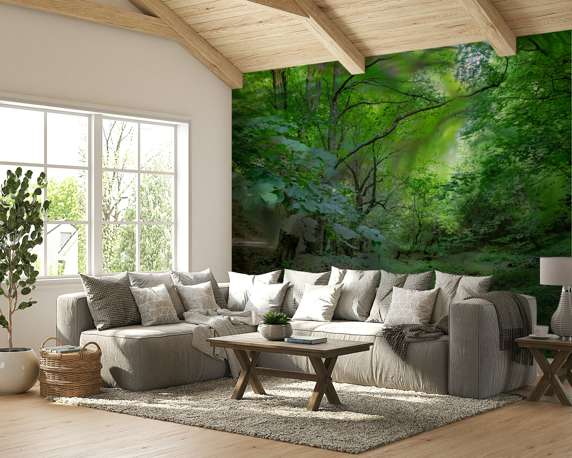 The light filters through the leaves in a gentle way.

