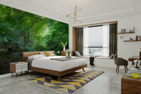 The trees are tall and numerous.

