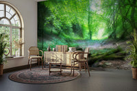 The ground is covered with leaves or moss.

