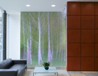 Sense of peace and natural calm.

