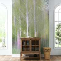 Dreamy woodland scene.

