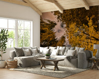 The room feels cozy and inviting due to the colors.

