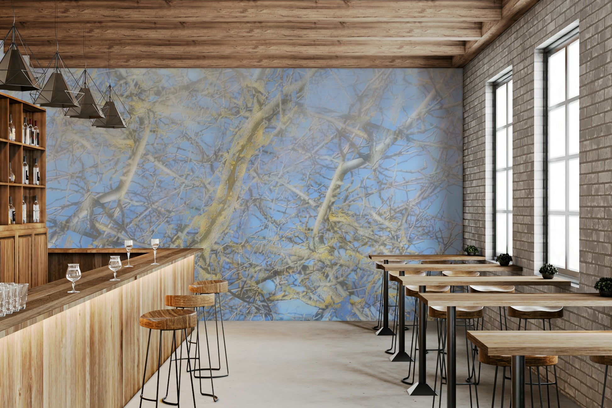 Focus on soft focus and abstract forms.

