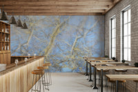 Focus on soft focus and abstract forms.

