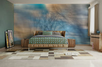 Sense of peace, calm, and openness.

