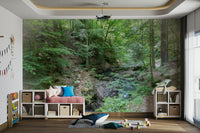 Wall decor evoking serenity and a connection to nature.

