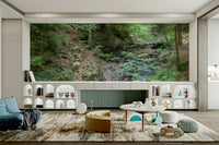 Tranquil forest stream.

