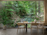 Serene nature photography.

