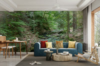 Lush greenery landscape.

