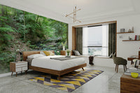 High-resolution image of a woodland scene.

