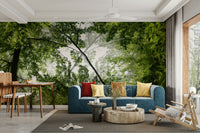 Dense trees with soft light.

