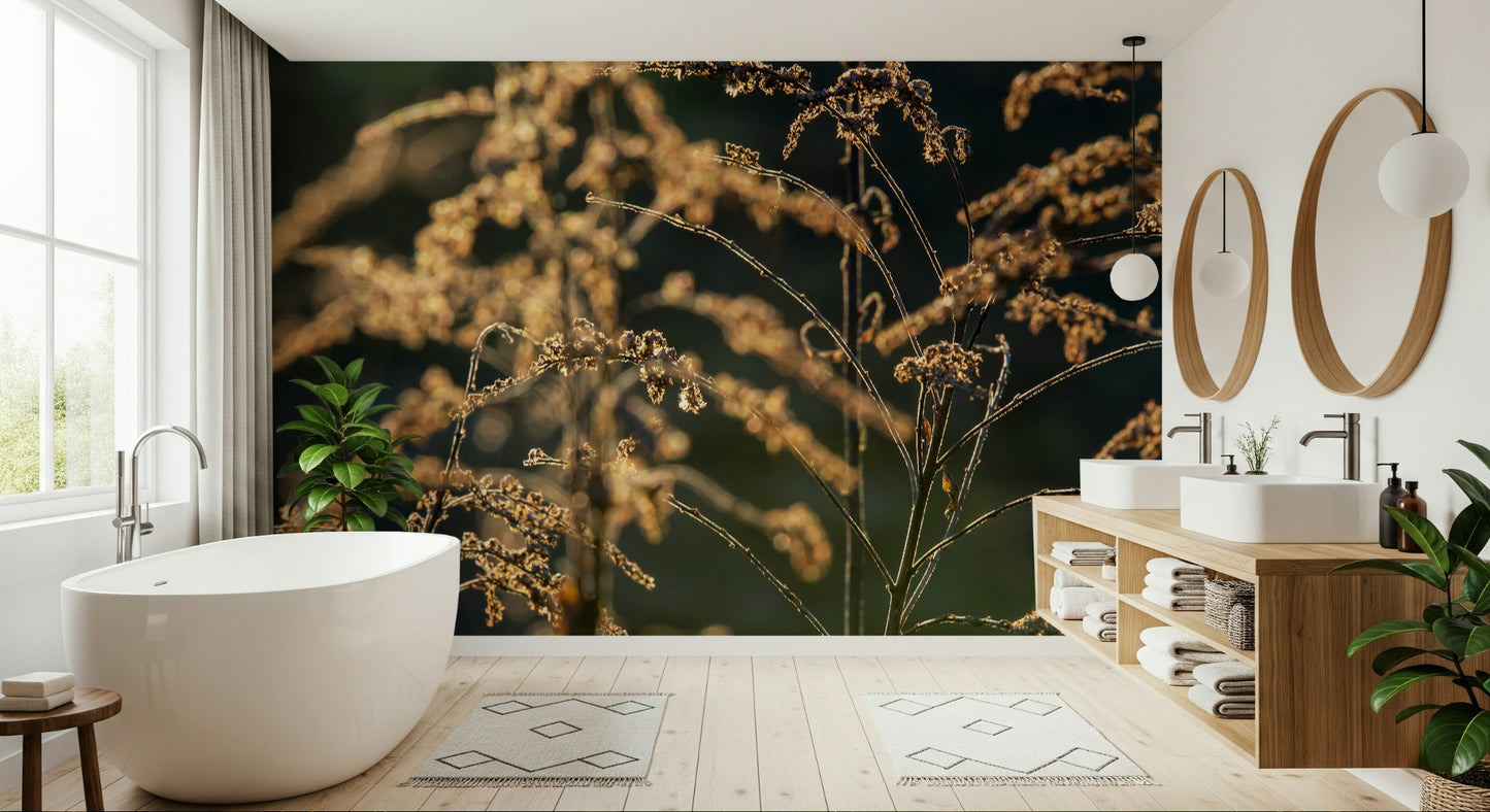 Golden Hour Serenity: Nature's Delicate Flora Photography Wall Mural