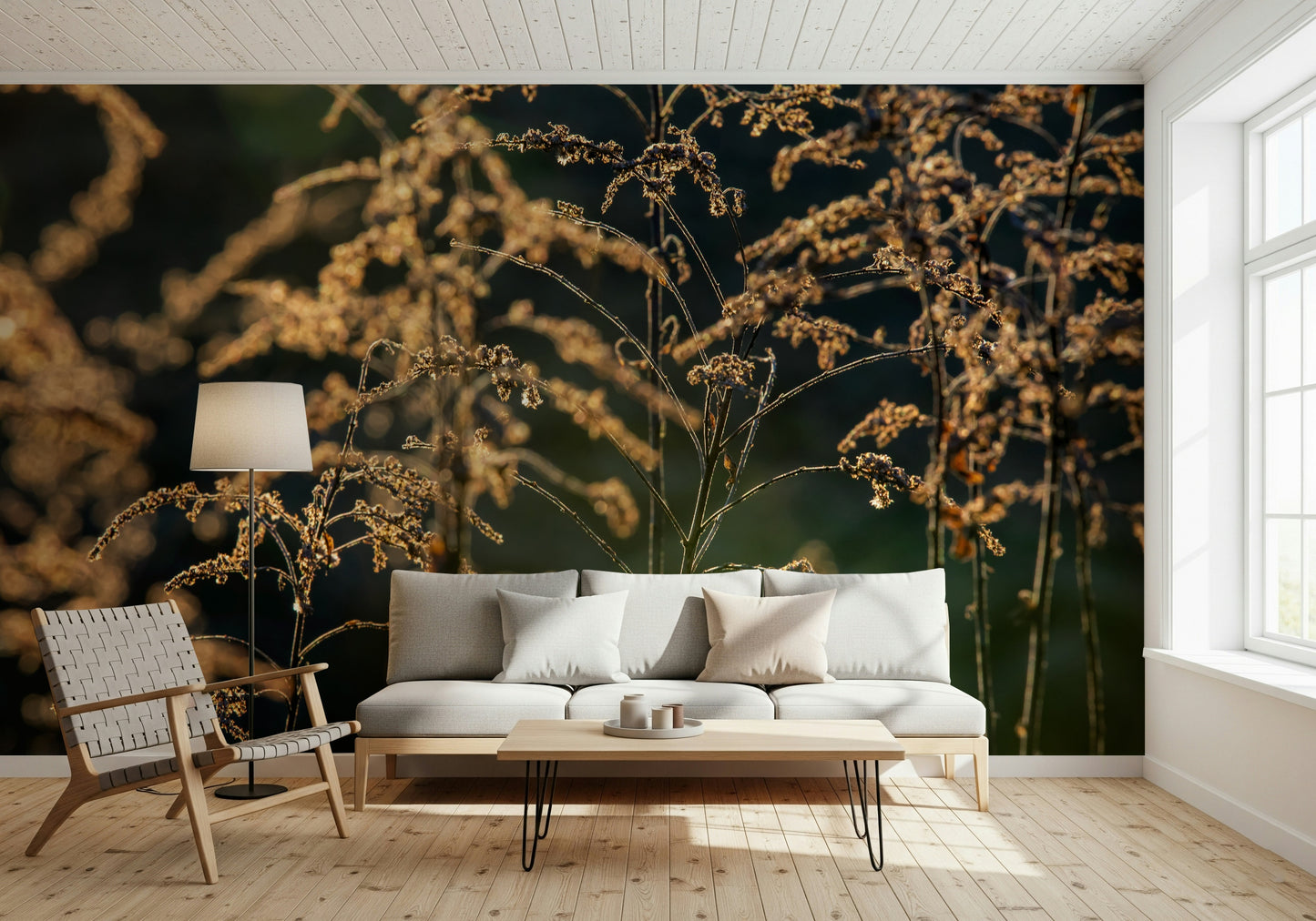 Golden Hour Serenity: Nature's Delicate Flora Photography Wall Mural