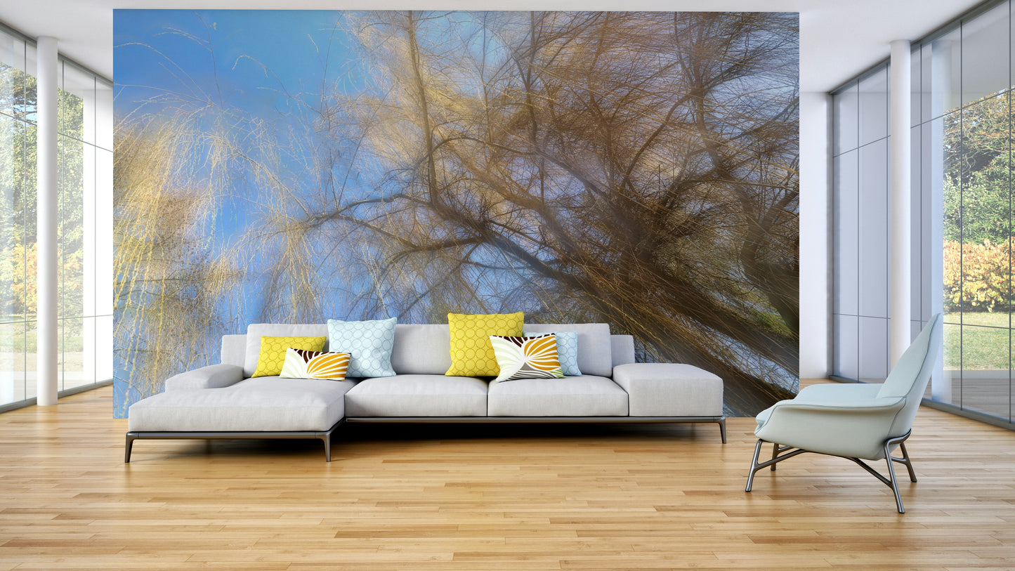 Delicate interplay of lines and natural forms.

